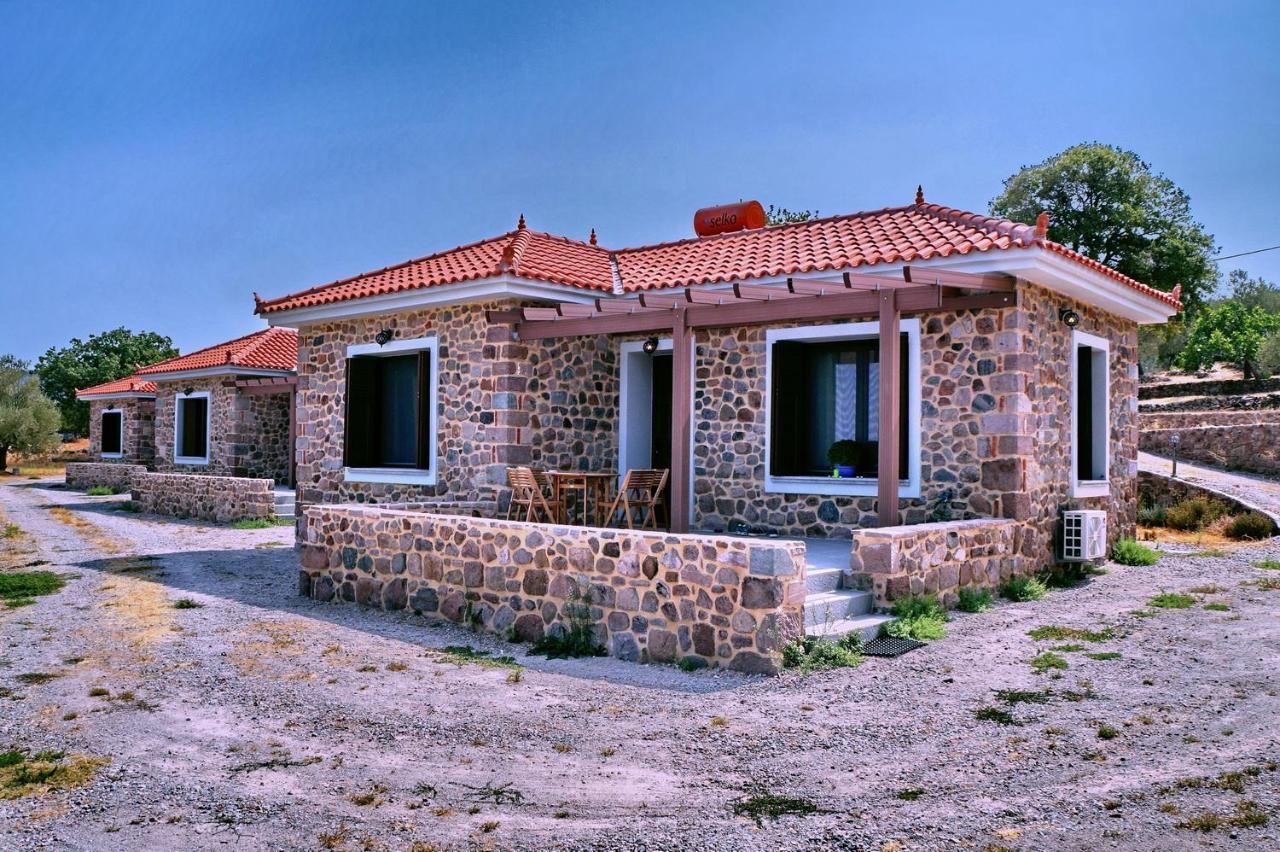 הוילה Skala Sykamineas Ktima Kiourelioti מראה חיצוני תמונה