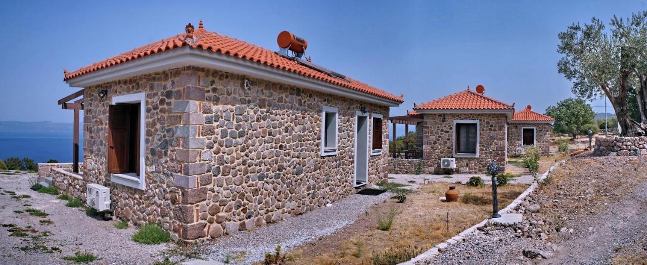 הוילה Skala Sykamineas Ktima Kiourelioti מראה חיצוני תמונה