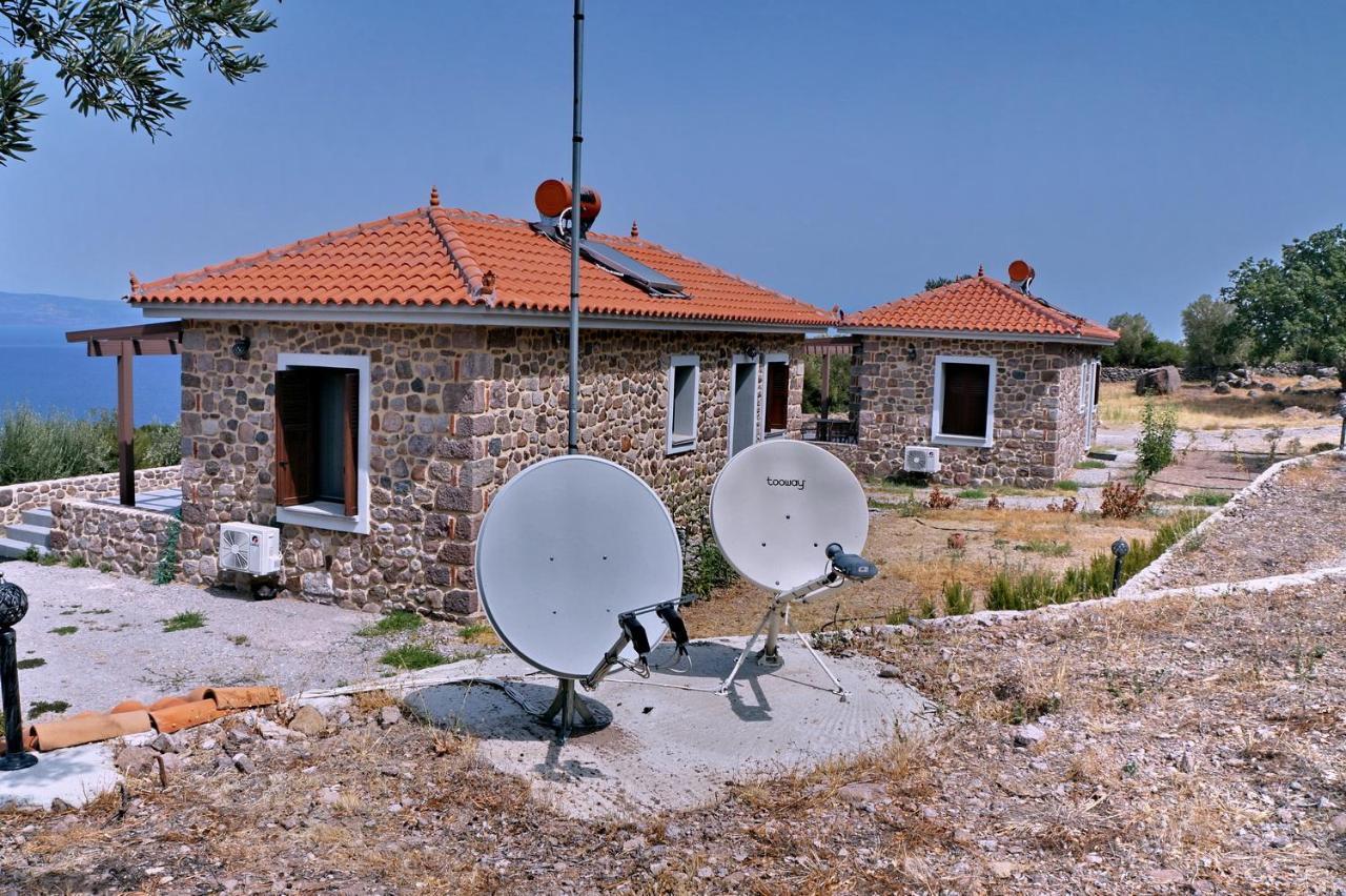הוילה Skala Sykamineas Ktima Kiourelioti מראה חיצוני תמונה